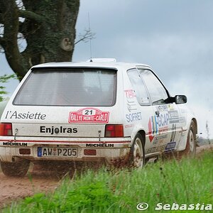 Birkenfelder Löwenrallye 2012