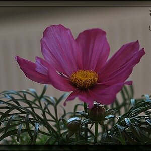 DSC 7801