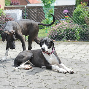 Treffen 1