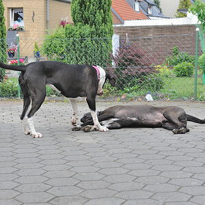 Treffen 6
