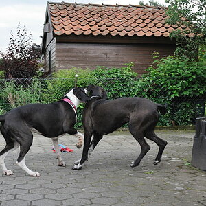 Treffen 9