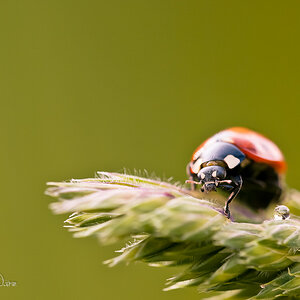 Bild LR3 .28. Mai 2012. .DSC 0111