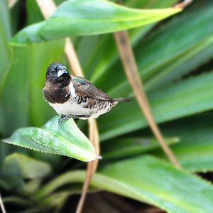 DSC 5928 900