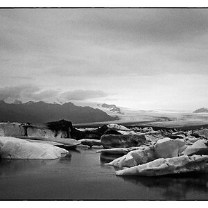 Tri X 01 021