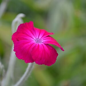 DSC 01440