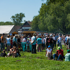 Wildpferde 2012 1