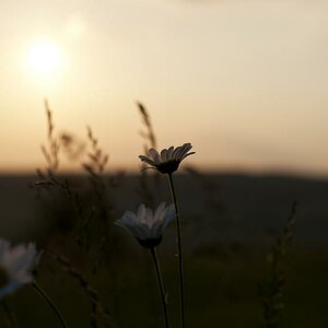 Sonnenuntergang 3