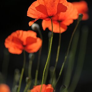 2012 05 31 084834 web
