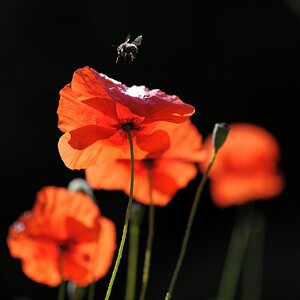 2012 05 31 084936 web