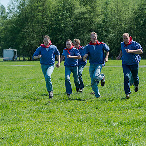 Wildpferde 2012 15