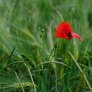 2012 06 07 15 32 59 D70 4273 copy