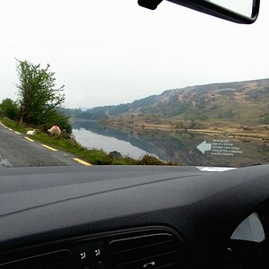 Irland Neues Bild 1