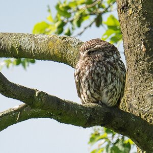 20120608 9337 [NIKON 1 V1] 600 mm,1 250 Sek. bei ƒ   8,0
