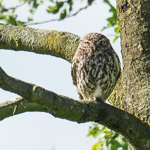 20120608 9213 [NIKON 1 V1] 600 mm,1 320 Sek. bei ƒ   5,6 2