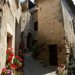 SC DSC 2282