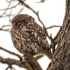 20120615 9541 [NIKON 1 V1] 600 mm,1 50 Sek. bei ƒ   6,3 2