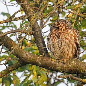 20120618 9989 [NIKON 1 V1] 600 mm,1 160 Sek. bei ƒ   5,6