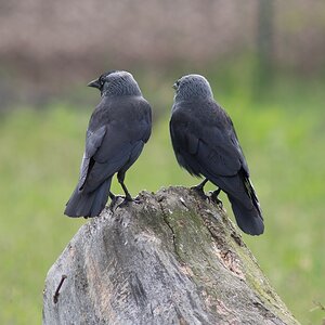 20120618 1124 [E M5] ,1 250 Sek