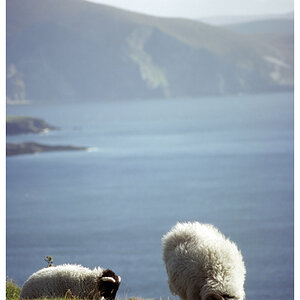 Achill2 KC