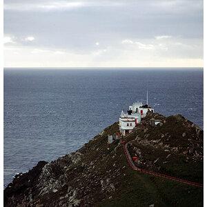 MizenHead1 FV
