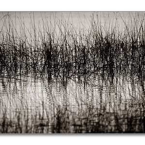 sw schwedensee1
