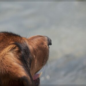 20120630 1661666 1 comp