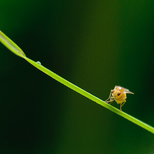 120630 unbenannt 034
