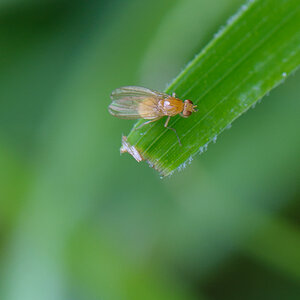 120630 unbenannt 035