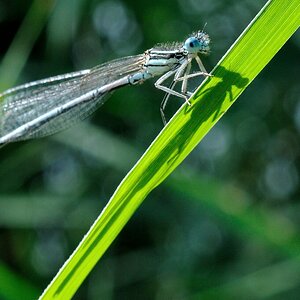 2012 06 30 4594  D300sA