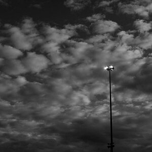 DSC 0877 bw