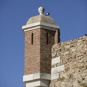01 VR1