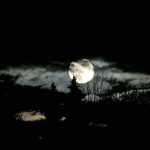 Fullmoon