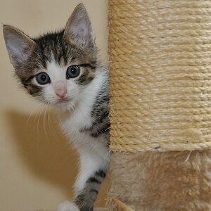 2012 06 03 2404  D300sA