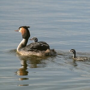 20120608 3807 [NIKON D4] 850 mm,1 1000 Sek. bei ƒ   8,0