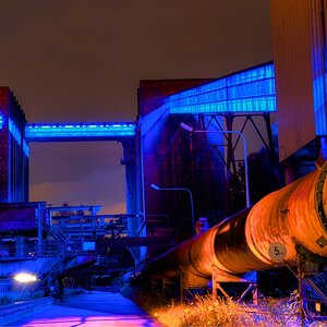 DSC 5348