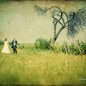 Photodesign Radloff 0445