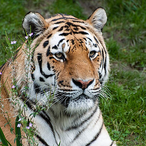 Zoo Wuppertal082011 033