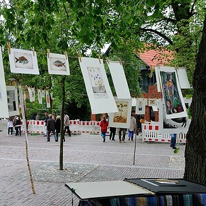 702 5464 jiw - Kunst auf der Wäscheleine