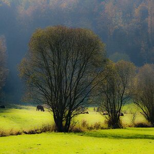 20111106 1407  DSC2178 cl