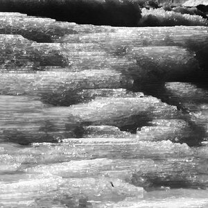20120205 1232  DSC2887 sw