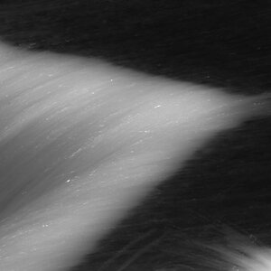 20120205 1346  DSC2927 cl
