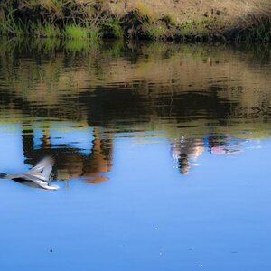 20120401 1515 DSC 3246 cl