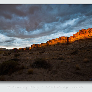 usa 2011 10 08 2303
