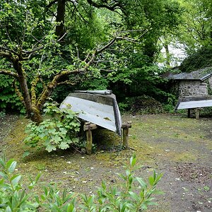 Irland Irland (116)