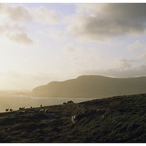 Achill10 FV