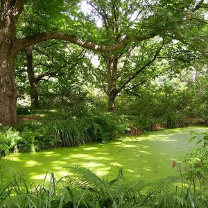 Berggarten DSCN3059