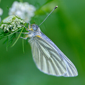120511 unbenannt 171