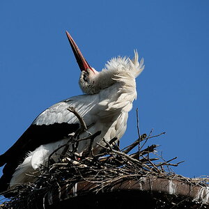 2012 06 09 18 05 38 D30 6543 copy