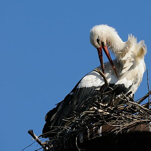2012 06 09 18 05 42 D30 6552 copy