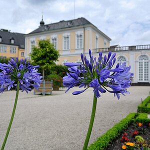 DSC 0074